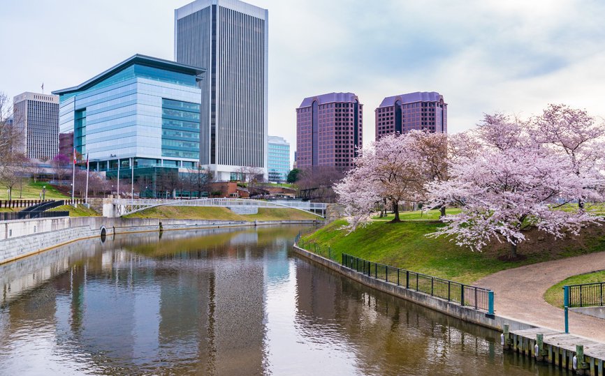 Richmond BC city with pink Cherry Blossom trees in Spring