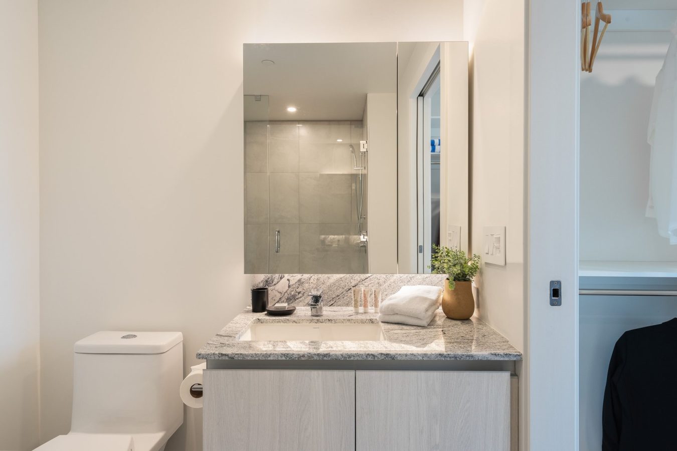 Modern bathroom with a white toilet, gray marble countertop, sink, mirror, folded towels, soap dispensers, and a small potted plant; shower with glass door reflected in the mirror.