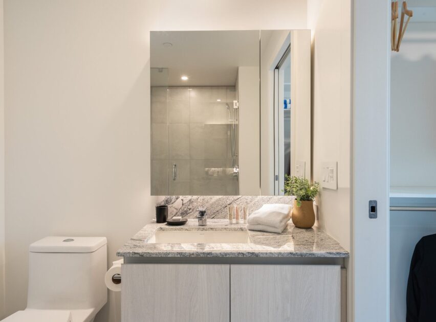 Modern bathroom with a granite countertop vanity, neatly folded towels, toiletries, a potted plant, and a large mirror. A toilet is beside the vanity and a closet with hanging space is visible to the right.