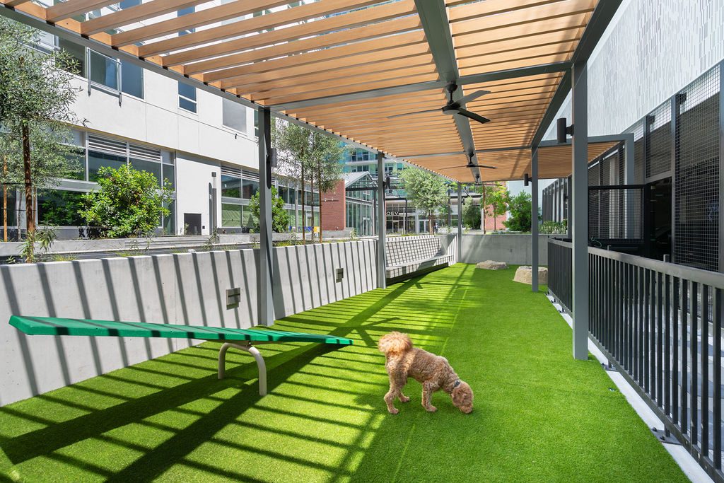 A small brown dog sniffs artificial grass in a fenced outdoor dog play area with a pergola, bench, and seesaw in a modern urban setting.