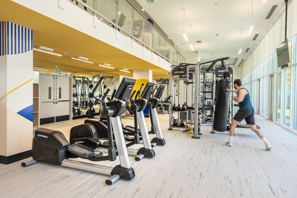 A spacious gym with cardio machines, weight training equipment, and a punching bag. A person in athletic wear is punching the bag near large floor-to-ceiling windows that let in natural light.