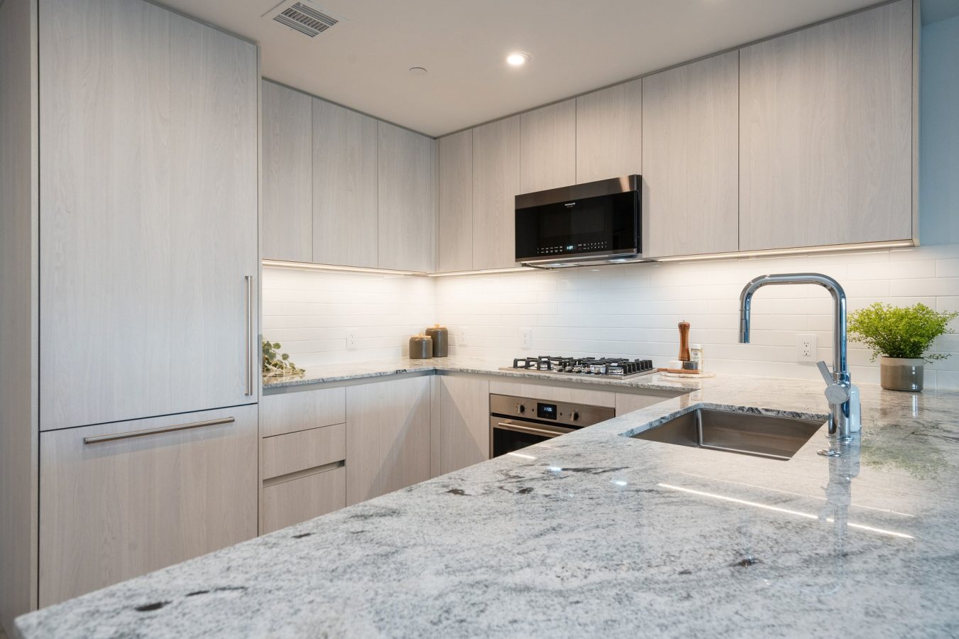 Modern kitchen with light wood cabinets, a marble countertop, stainless steel appliances, built-in oven, gas cooktop, sink with faucet, and a small potted plant on the counter. Bright, clean, and uncluttered design.