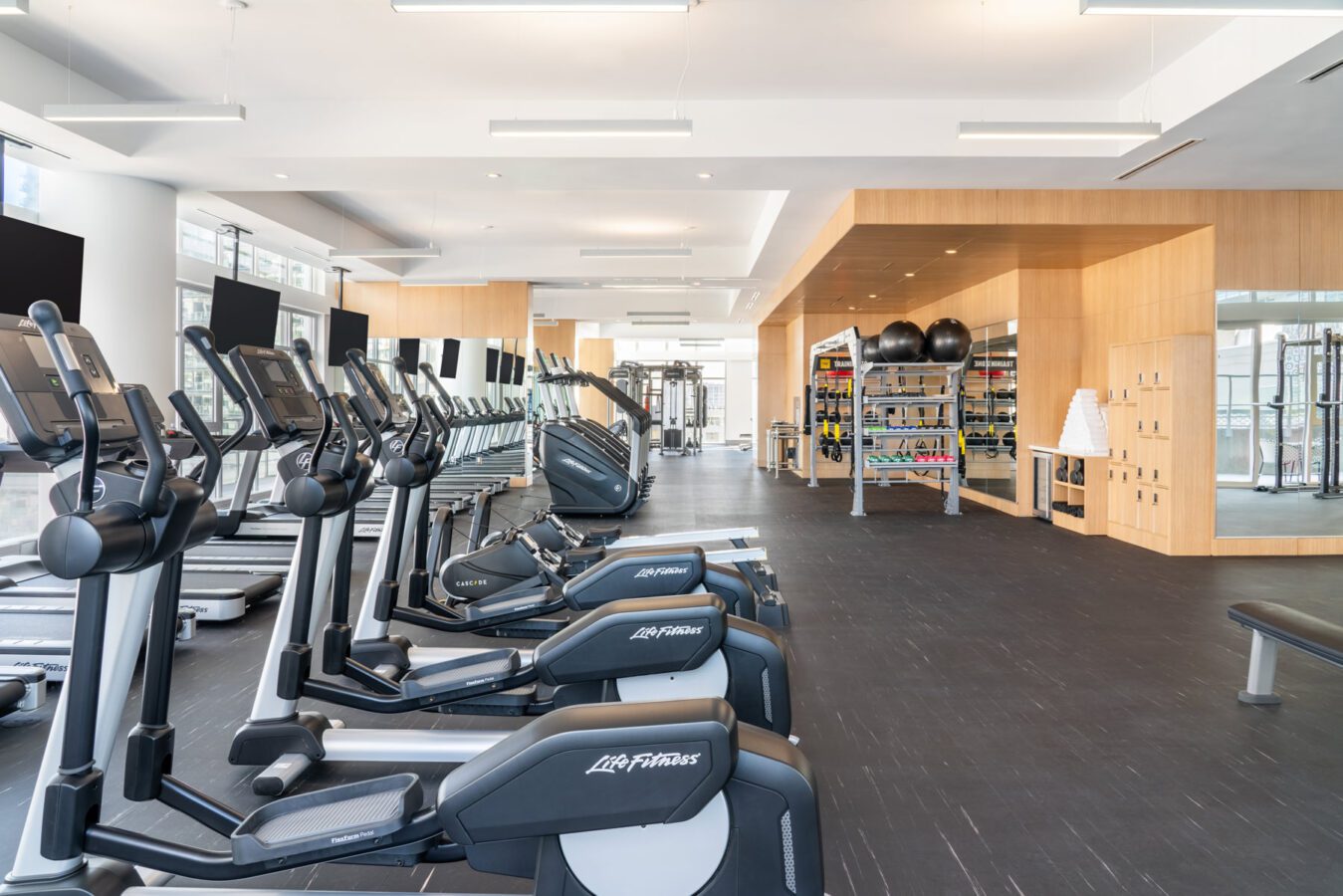 A modern gym with several treadmills and elliptical machines in the foreground, free weights and fitness equipment on shelves in the background, and large windows letting in natural light.