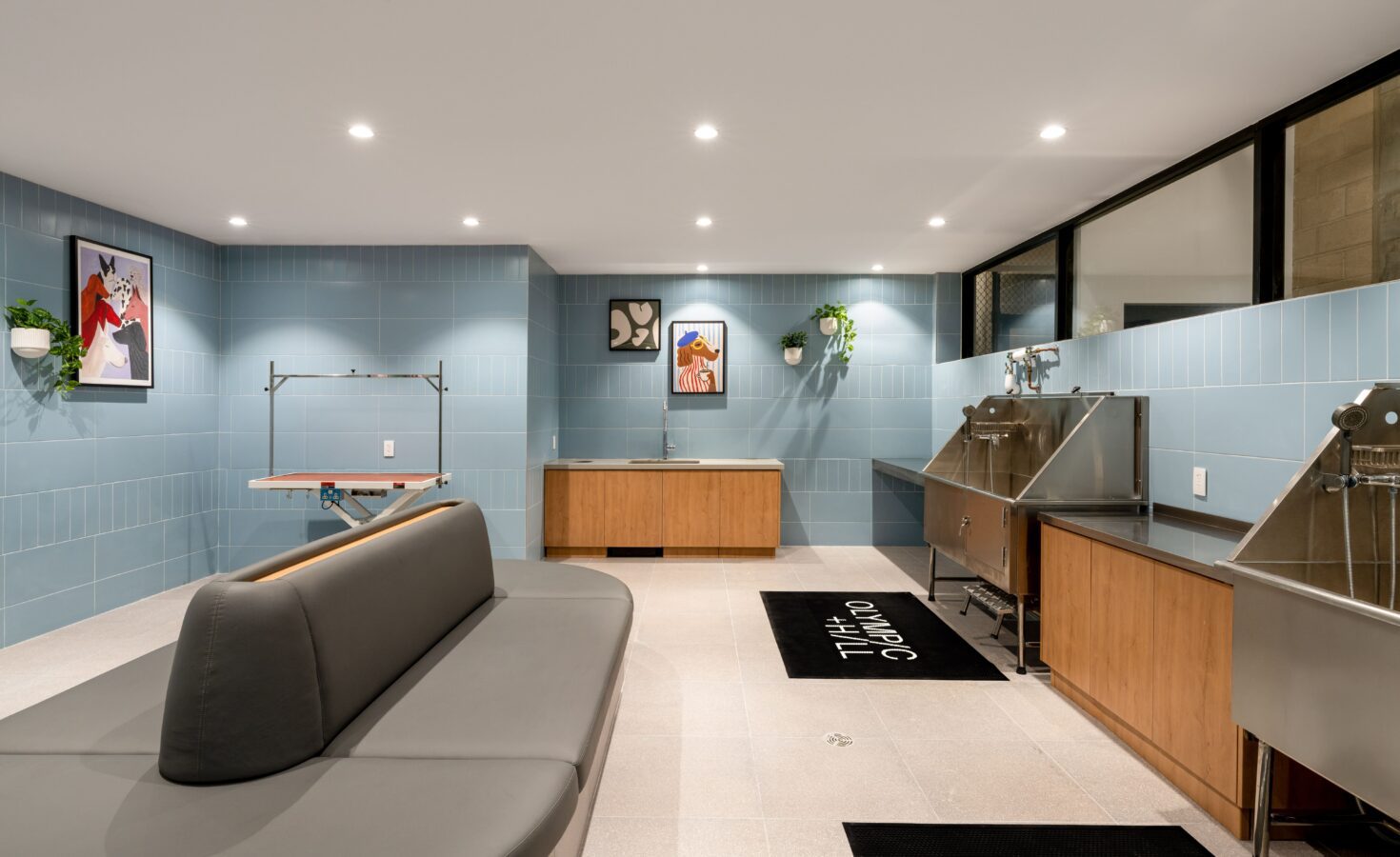 Modern pet washing room with blue tiled walls, stainless steel wash stations, wooden cabinets, an ironing board, two wall art pieces, potted plants, a gray bench, and a black rug with The Olympic text.