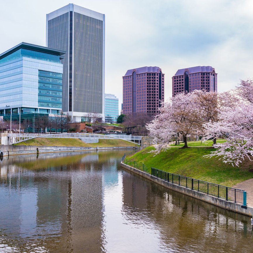 Richmond BC city with pink Cherry Blossom trees in Spring