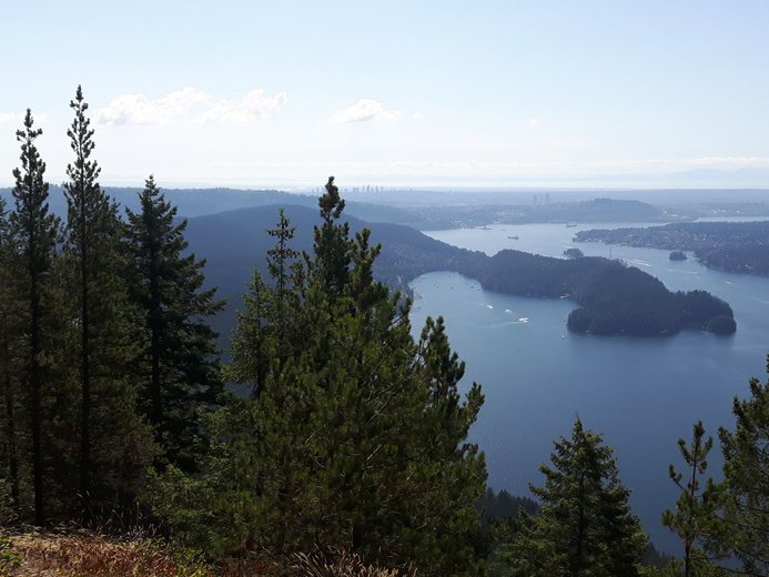 View of ocean, trees, and Vancouver from the Diez Vistas Trail in Port Moody