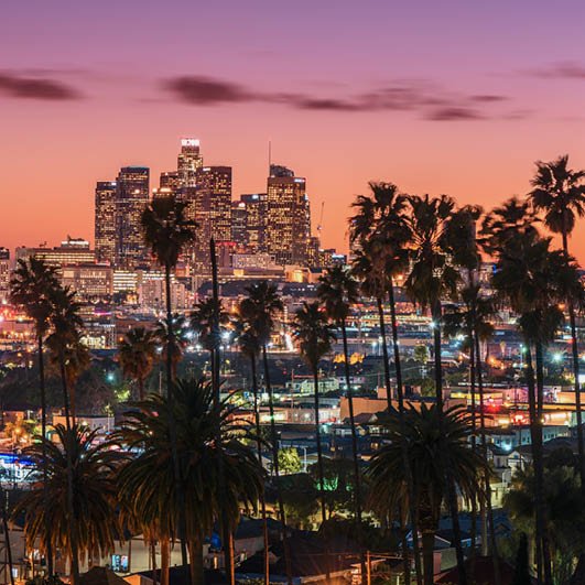 Los Angeles City Views