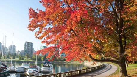 The-fall-season-is-approaching-for-2023-Discover-these-Vancouver-spots-perfect-for-an-Autumn-hike