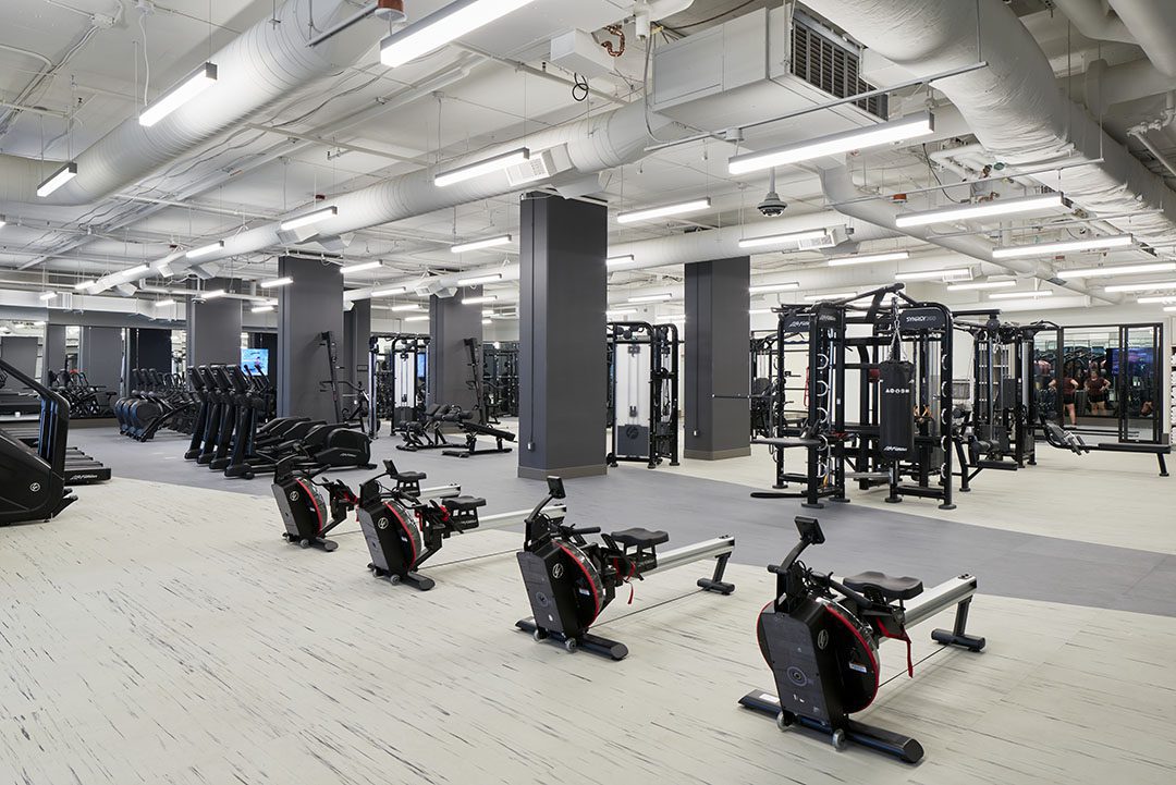 A spacious modern gym with rowing machines in the foreground, various weight machines, exercise bikes, and treadmills in the background, all in a well-lit area with gray and white decor.