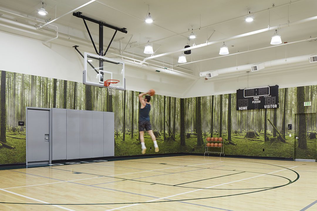 A person jumps toward a basketball hoop in a brightly lit indoor gym with a forest mural on the walls. A scoreboard, basketball rack, and padded wall are visible in the background.