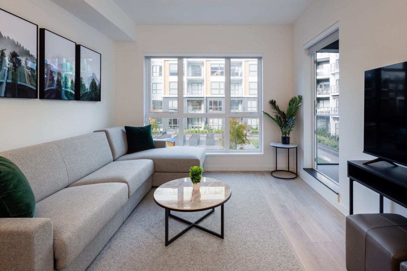 A modern, bright living room with a gray sectional sofa, round coffee table, two potted plants, large windows letting in natural light, wall art, and a flat-screen TV.