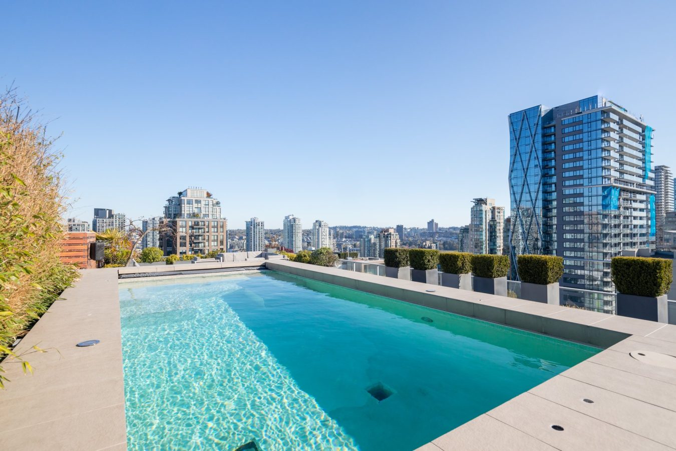 A rooftop swimming pool with clear blue water, surrounded by potted plants, overlooks a cityscape with modern high-rise buildings under a clear blue sky.