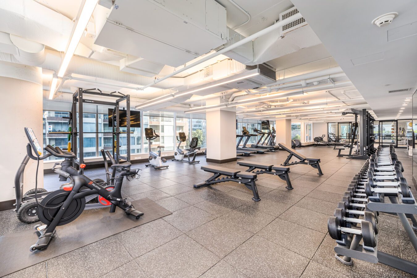 A modern, spacious gym with weight benches, dumbbells, stationary bikes, treadmills, and large windows letting in natural light. The gym has gray flooring and white walls with exposed pipes on the ceiling.