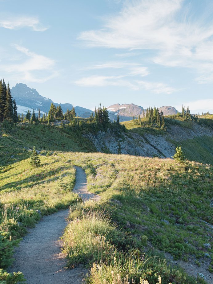 Hike in Mount Rainier National Park
