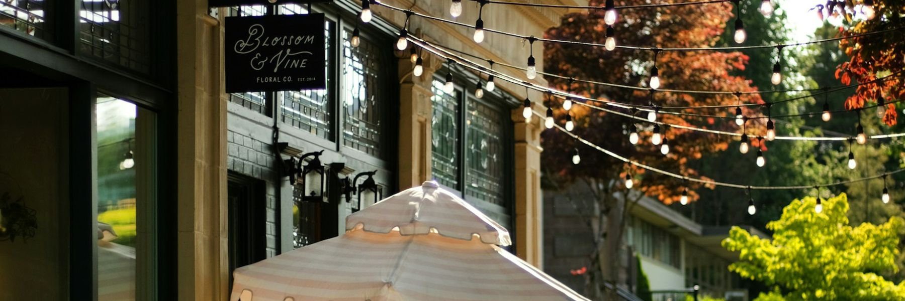 String lights hang above an outdoor cafe patio next to a building with a sign reading “Blossom & Vine.” A striped umbrella shades tables, and trees with green and red leaves line the sunlit scene.