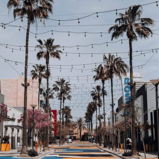 A street lined with tall palm trees and string lights overhead, flanked by shops and buildings, with a blue and yellow crosswalk and a clear sky above. The area appears calm and mostly empty.
