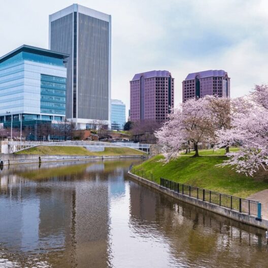 A river curves through a city park with blooming cherry blossom trees. Modern glass and tall office buildings rise in the background under a cloudy sky.