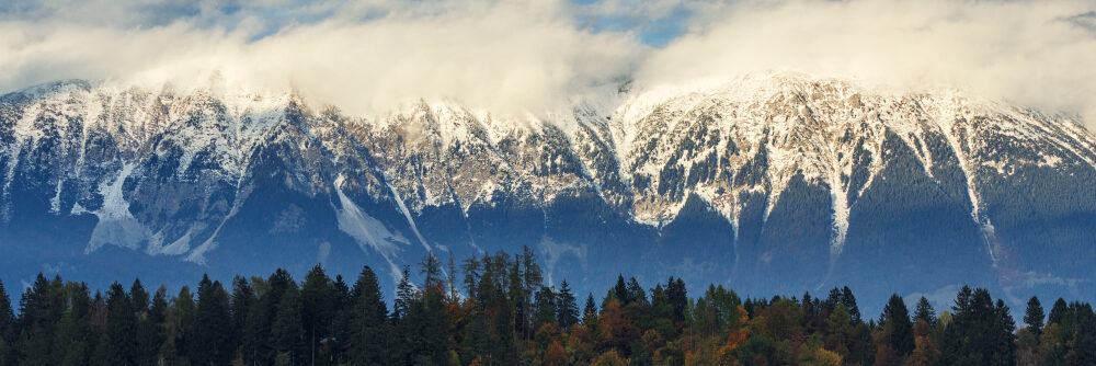 A panoramic view of snow-capped mountains partially covered by clouds, with a forest of evergreen and autumn-colored trees in the foreground.