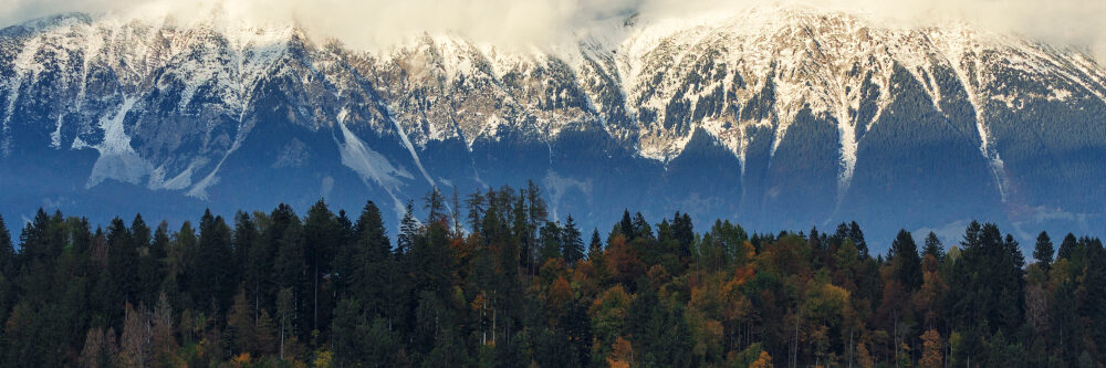 A dense forest of evergreen and autumn-colored trees stands in the foreground, with tall, snow-capped mountains rising in the background under a cloudy sky.